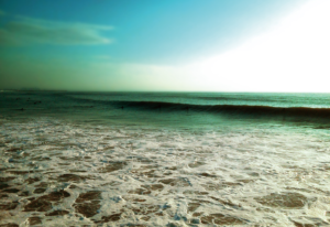 MOTION GRAPHICS Inc.DM[2011-2012]